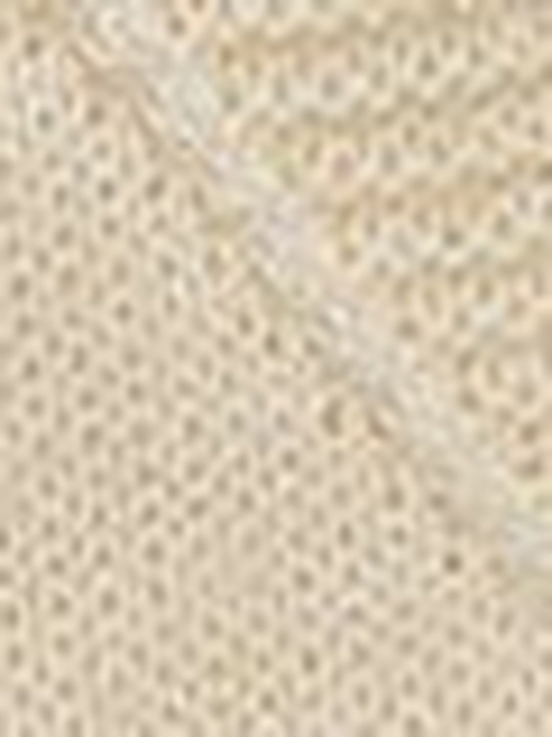 Women's Beige Nowi Women Geometric Self Design Acrylic