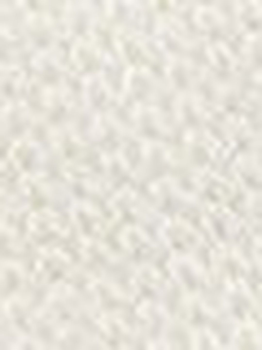 Women's Nowi Women Floral Pullover With Embroidered Detail