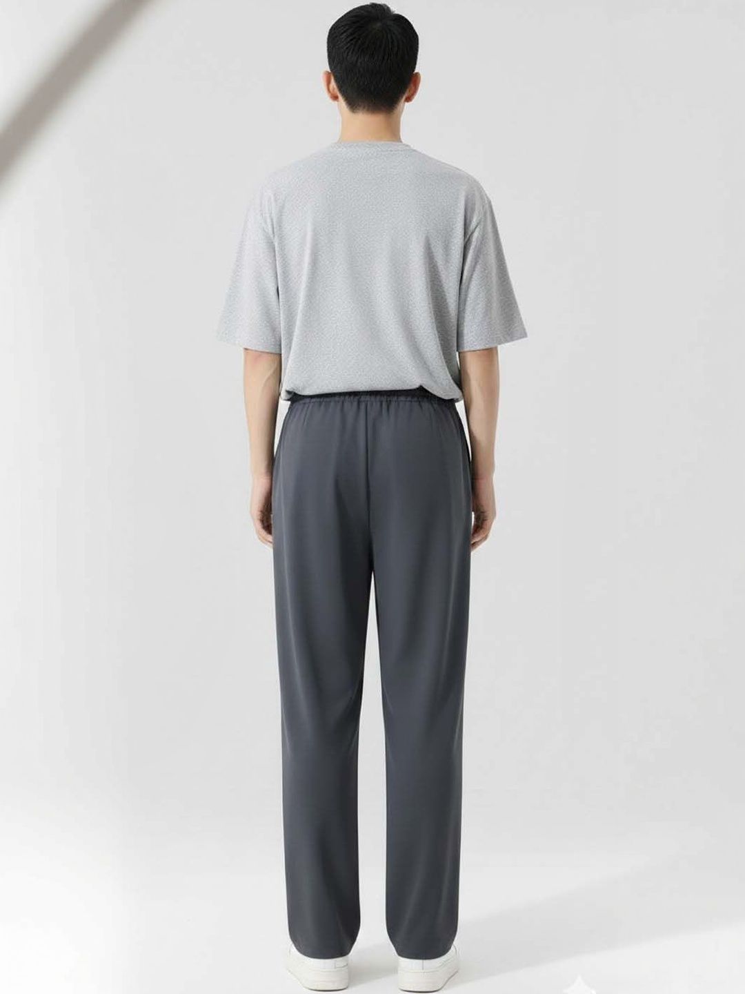 Men Wrinkle Free Pleated Trousers