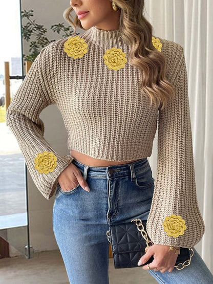 Women Ribbed Crop Pullover with Embellished Detail