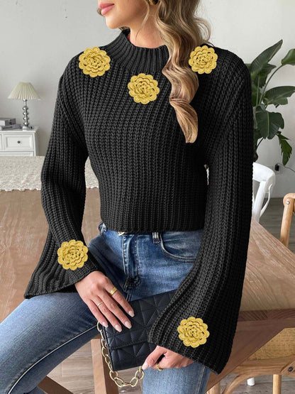 Women Ribbed Crop Pullover with Applique Detail