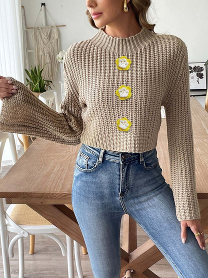 Women Ribbed Crop Pullover with Applique Detail
