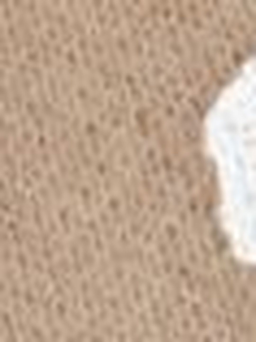 Women's Beige Printed Pullover With Fuzzy Detail