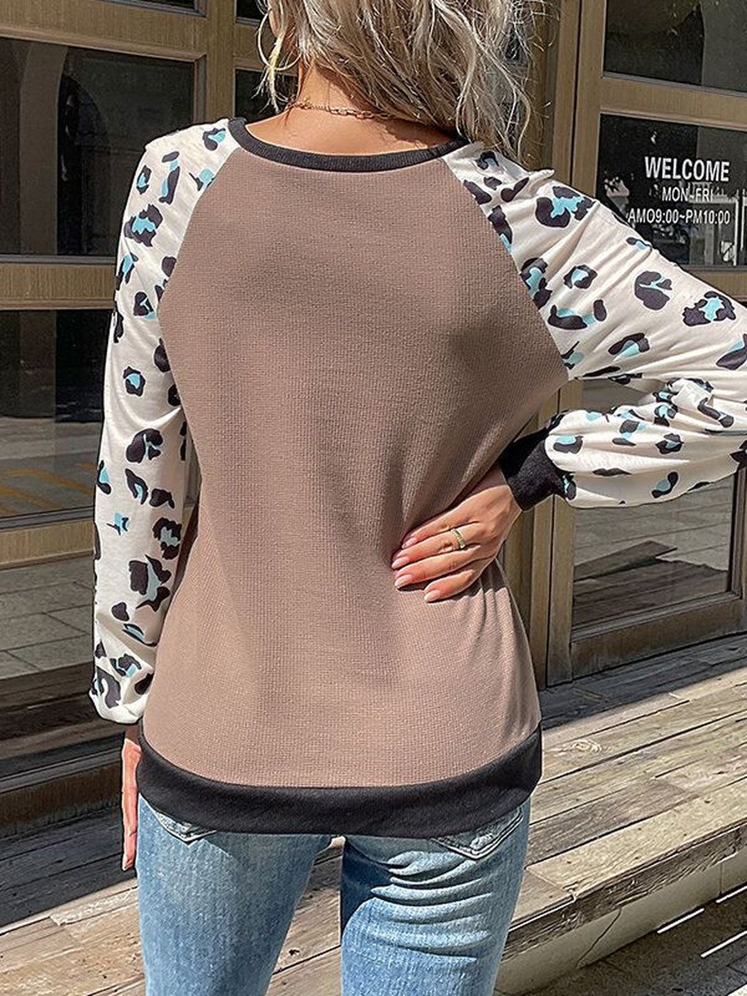 Women's Brown Animal Colourblocked Pullover