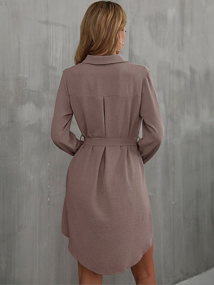 Women's Brown Shirt Dress Blend Printed Regular Fit
