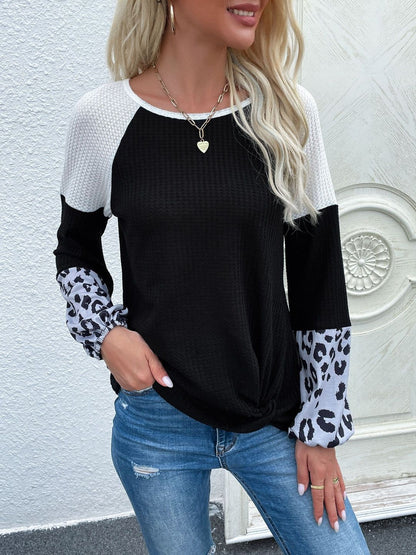 Women Colourblocked Sweatshirt