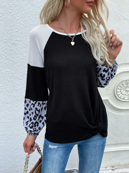 Women Colourblocked Sweatshirt