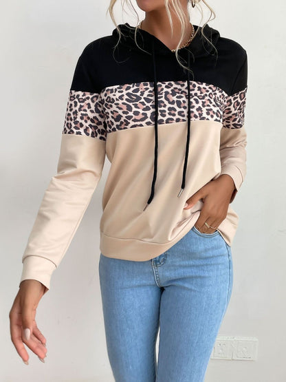 Women Colourblocked Hooded Sweatshirt