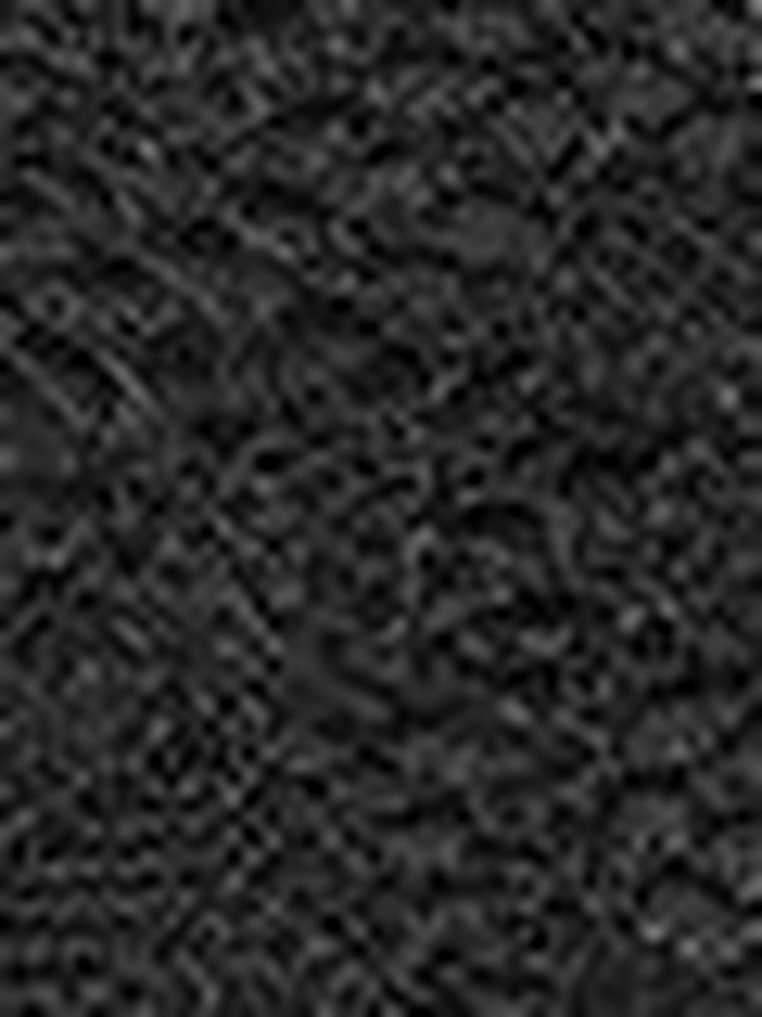 Women's Black Embroidered Top Blend