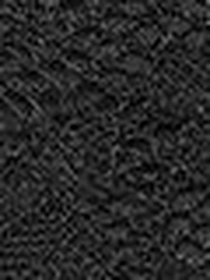 Women's Black Embroidered Top Blend