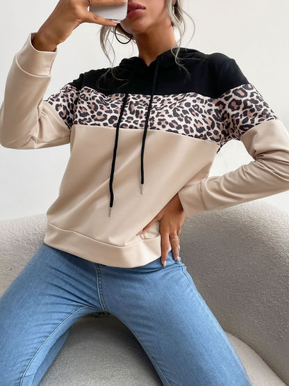 Women Colourblocked Hooded Sweatshirt