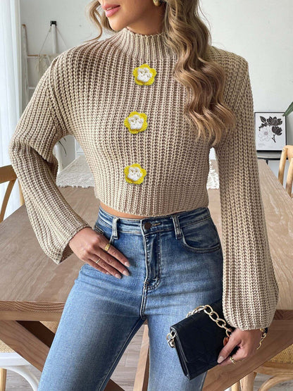 Women Ribbed Crop Pullover with Applique Detail