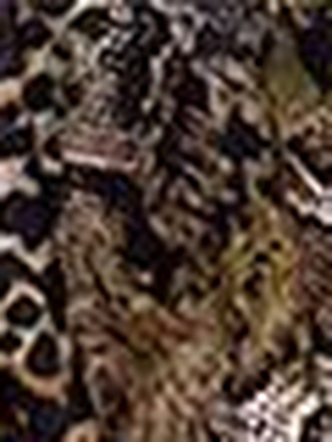 Animal Print Layered Fit & Flare Mini Dress