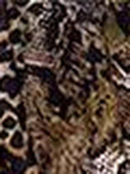 Animal Print Layered Fit & Flare Mini Dress
