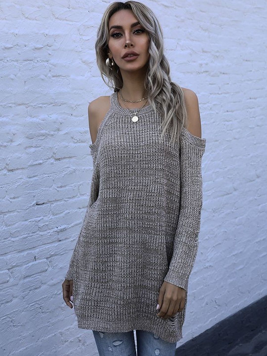 Women's Beige Pullover Blend Printed Regular Fit