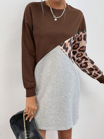 Women Colourblocked Sweatshirt