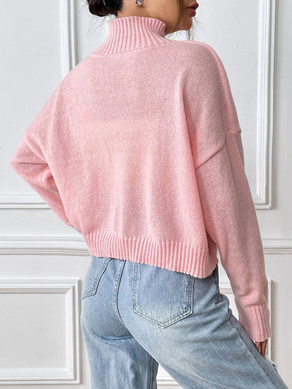 Women Embroidered Crop Pullover with Embroidered Detail