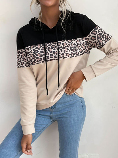 Women Colourblocked Hooded Sweatshirt