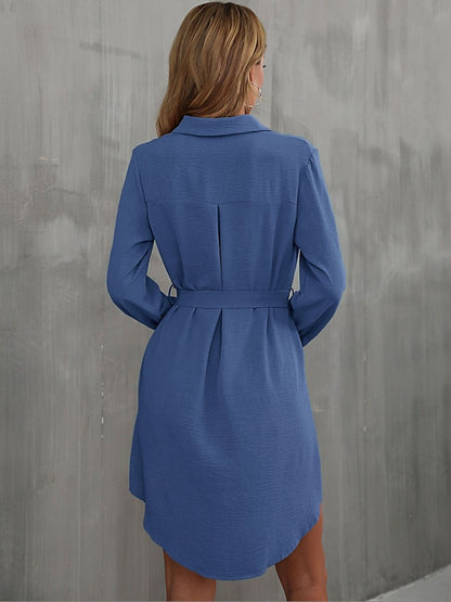 Women's Blue Shirt Dress Blend Printed Regular Fit