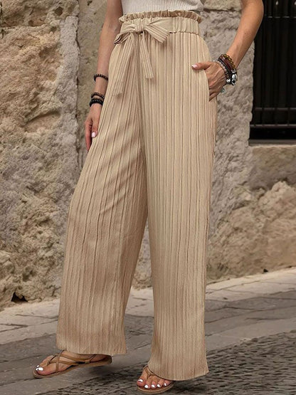 Women Textured High-Rise Non Iron Pleated Trousers