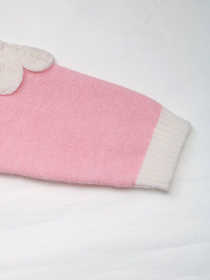 Women's Pink Pullover With Applique Detail Blend Printed