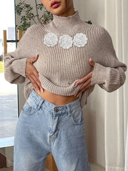 Women Ribbed Pullover with Applique Detail